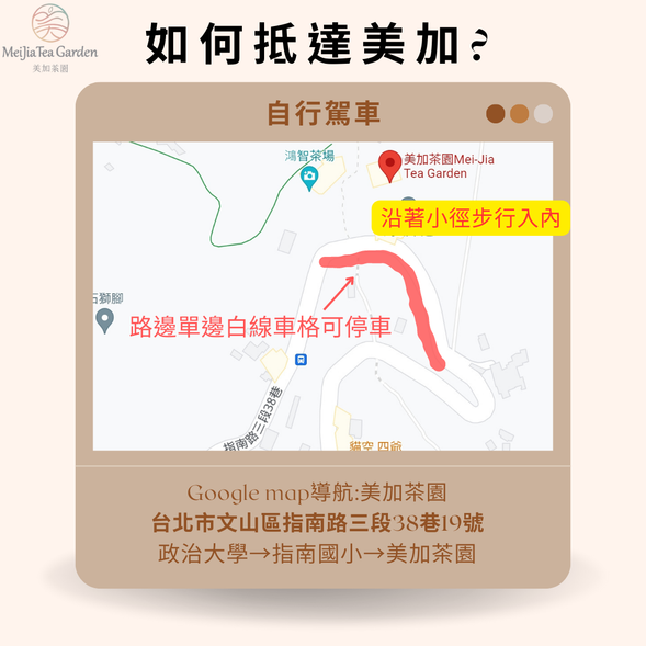 美加茶園-0
