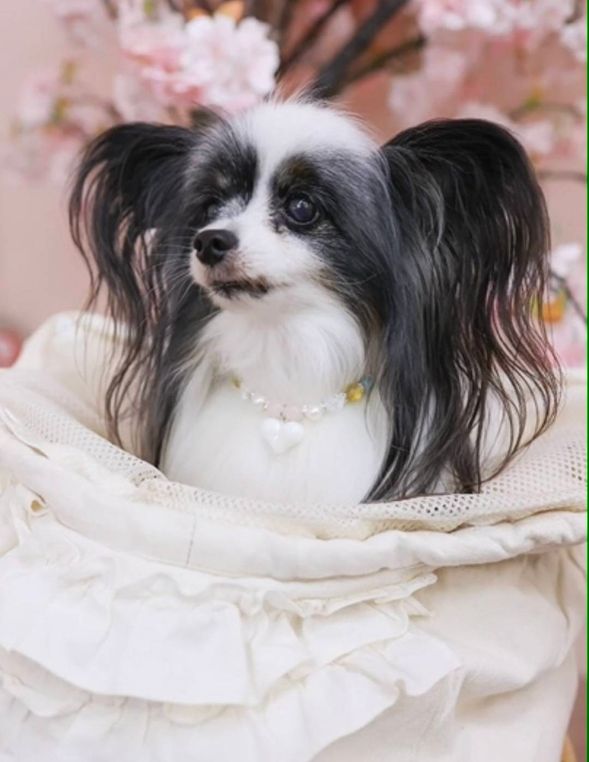 わんこネックレスづくり