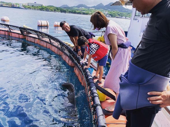 餌やりタイム!生き物たちに餌を上げてみましょう。