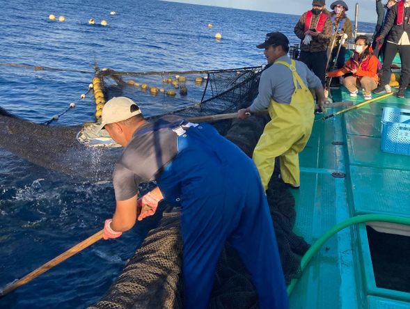 網に入った魚を船にあげていきます
