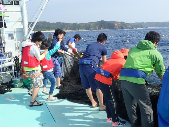 漁師体験!網を一緒にあげていきます
