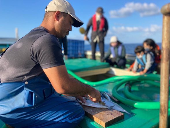 漁師さんが獲れたての魚を捌いてくれるよ