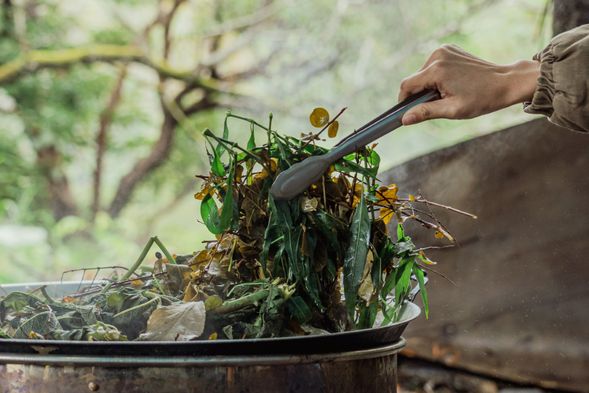 採集的草藥通通下鍋,熬煮的青草香聞起來也很舒壓喔!
照片來源:雅比斯國際創意策略股份有限公司