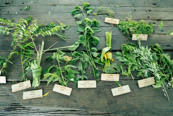 長知識嘍!這些植物,如果不告訴你,你又認得多少呢?
照片來源:雅比斯國際創意策略股份有限公司