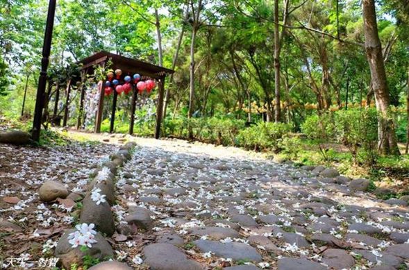 荷苞山桐花公園-保留咖啡的原鄉及童子軍歷史人文的特色,並有自然景觀及原始生態的體驗