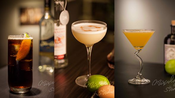 【皮斯可】 皮斯可樂 Piscola / 皮斯可酸酒 Pisco Sour / 柏靈頓熊掌 Paddington Bear Paw