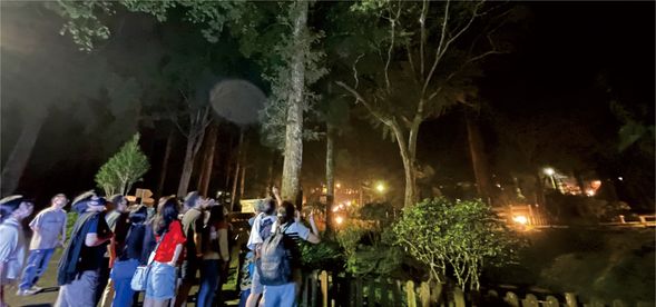 20:00~21:00 夜遊溪頭