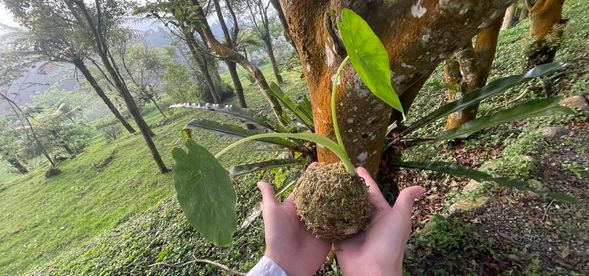 10:00
「森林巷9號」報到|進行森林手作DIY
