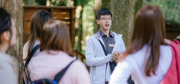 森林療癒 溪頭神木健行