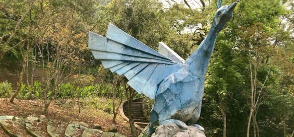 11:00
Check out,前往鳳凰鳥園參觀或可自由安排旅行