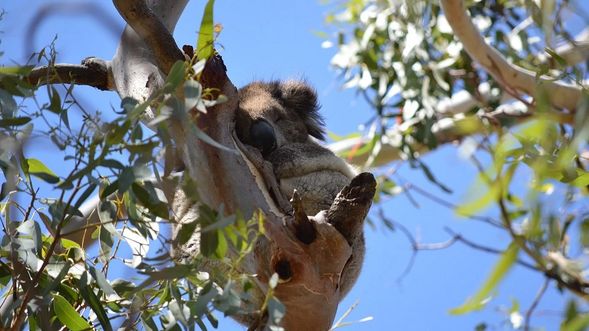 约 1520PM 抵达肯耐特河