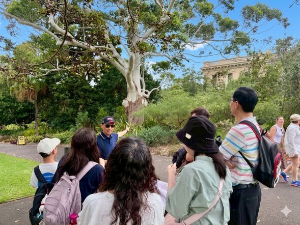 皇家植物園(Royal Botanic Garden)