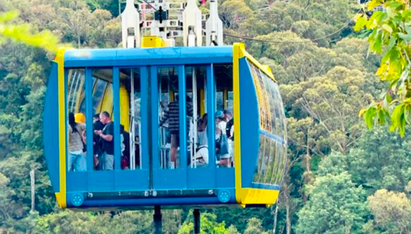 Day 6(一)|藍山國家公園一日遊
造訪Featherdale 野生動物園(自費)與袋鼠、無尾熊親密互動,接著探索壯麗的藍山三姐妹峰與回音谷、搭乘三種特色纜車(自費)。最後走訪如童話小鎮般的盧拉小鎮,享受恬靜午後。
🌟 景點亮點:
• 【回音谷觀景台】用餐同時欣賞三姐妹峰絕美景致
• 【藍山纜車體驗】極具刺激又安全,深度欣賞藍山地貌
餐食:早:酒店|午:熱狗堡|晚:自理
住宿:Silkari Urban CKS Sydney Airport 或同級 4 星酒店
