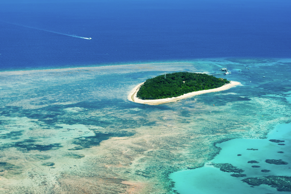 ☆ 大堡礁出海,綠島一日遊 𓆉
(午餐自理,無導遊陪出海自行步行至碼頭,如需接送+25/人