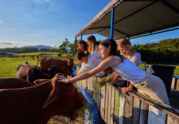 17:00-17:30
稻草車喂牛體驗Hayride Cow Feeding