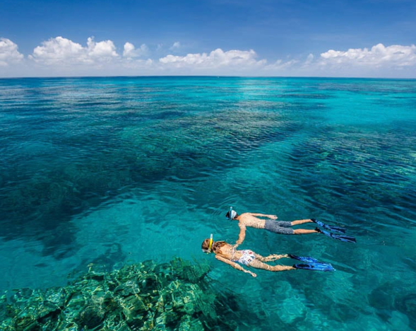 酒店早餐后,步行前往大堡礁碼頭,搭乘【大冒險號】雙礁遊船.綠島(Green lsland),是世界著名的珊瑚礁島,濃縮了大堡礁和熱帶島嶼的旖旎風光,遊客更可自由流覽度假勝地商店或在沙灘上放鬆自己,從沙灘上浮淺,在溫暖,水晶般清澈的暗礁水中游泳!外堡礁(Outer Reef),一般是指距離海岸較遠的珊瑚礁群.這裡由於面臨海溝,海水較深,水質最為清澈,魚和珊瑚的種類也最多。 這裡可以穿上浮潛衣和腳蹼與魚群親密接觸欣賞五彩繽紛的水下世界,如果想擁有更開闊的視覺體驗,更可自費乘坐直升機從空中鳥瞰大堡礁全景。
當天不用車 步行到碼頭(前一天導遊會協助換票)