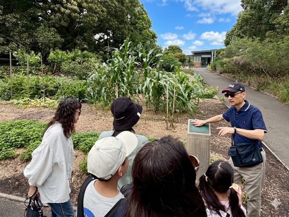 澳洲第一 農場(First Farm Site)