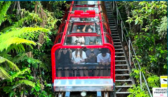 Day 3(五)– 藍山自然奇景探索日
• 自費【費瑟戴爾野生動物園】近距離接觸考拉袋鼠
• 自費【藍山三大纜車體驗】:搭乘礦山火車、纜車與空中纜車
• 午餐:回音谷懸崖餐廳,邊吃邊賞壯麗三姐妹峰
• 探訪【盧拉小鎮】:如童話般的寧靜街道
亮點:回音谷景觀餐廳 + 世界級觀景點拍攝三姐妹峰
早餐:酒店|午餐:澳式熱狗堡|晚餐:自理
酒店:Silkari Urban CKS Sydney Airport Hotel 或同等四星酒店