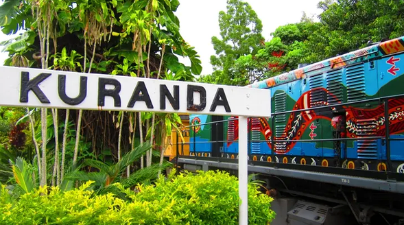 在酷牛牧場的清晨鳥鳴中醒來,享用簡易早餐,感受被自然擁抱的美好早晨。喜歡戶外活動的旅客還可選擇在早餐後體驗牧場提供的ATV越野車或騎馬探險,與和牛共度晨間時光。
上午導遊接您出發,展開精彩的一日包車行程
建議路線一:【潘朵拉星球探險日】
庫蘭達熱帶雨林公園
體驗【二戰水陸兩棲車】,穿梭於茂密叢林間,欣賞原住民舞蹈與音樂表演,親手體驗傳統飛鏢,有機會與可愛的澳洲國寶——小考拉合影
中午可於庫蘭達小鎮自由活動與用餐,下午搭乘纜車或百年觀光小火車
🔖 自費項目:熱帶雨林公園門票、纜車或火車票
路線二|【亞瑟頓高原自然文化探索日】
探訪岩石袋鼠谷,品嚐當地咖啡農場風味,欣賞拜倫瀑布
自費:袋鼠谷門票
路線三|【道格拉斯港 & 北凱恩斯悠遊日】
探索優雅靜謐的道格拉斯港
沿途漫遊四里海灘(Four Mile Beach)與雷克斯觀景台(Rex Lookout)
停留Palm Cove棕櫚灣沿著金色海岸線散步,打卡【2025年《Conde Nast Traveller》評選的世界最佳沙灘之一】
更多行程細節將由行動秘書提供推薦