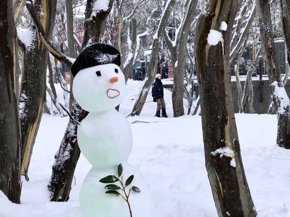 Come and build your first snowman this winter!