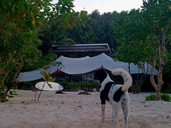 - Meet at port
- Check market for fish and supplies
- Depart for Mamon island
- Campsite guide and settle in
- Free time to enjoy the island
- Lunch on the beach
- Sunset paddle board
- Camp fire
- Star gazing