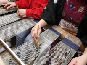 初心者でも織りやすいプランです