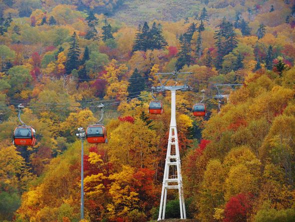 🚡札幌國際滑雪場
紅葉纜車、秋天祭典、午餐
約可停留2小時