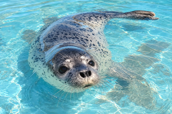 小樽水族館