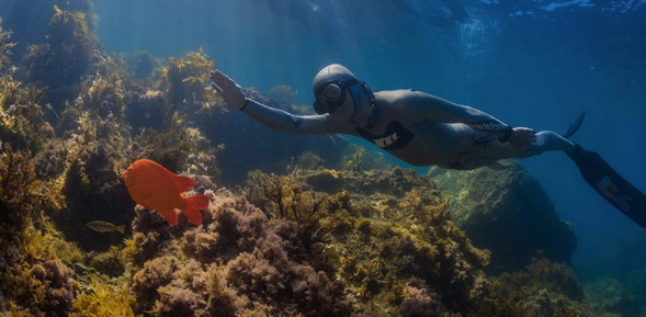 一起來自由潛水探索自身及海洋吧