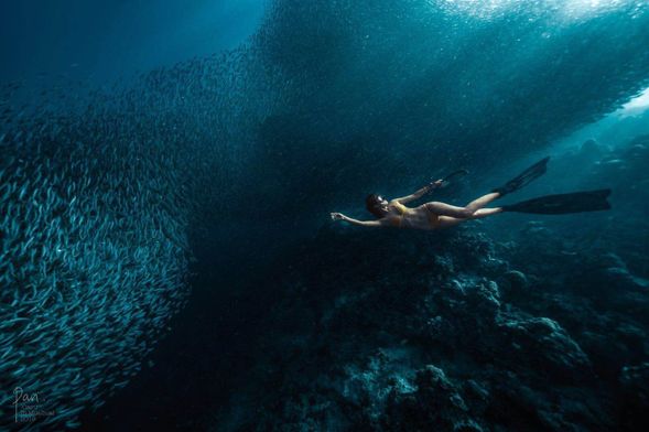 在世界各地享受不同的生態