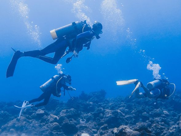 教練帶領進入潛水的世界