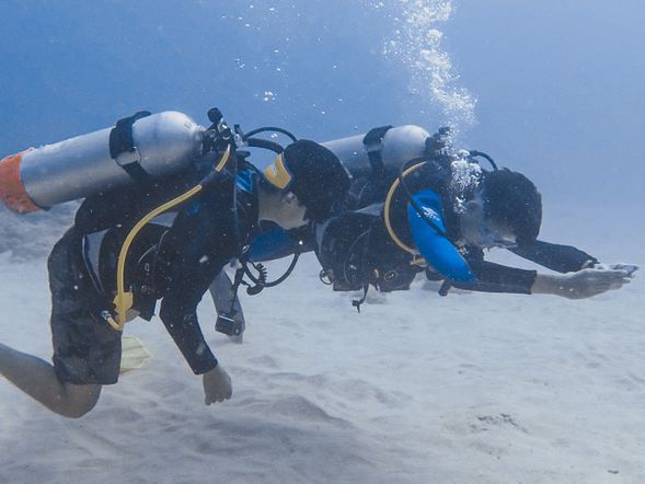 學會頂尖中性浮力就不會破壞傷害到珊瑚礁、生物