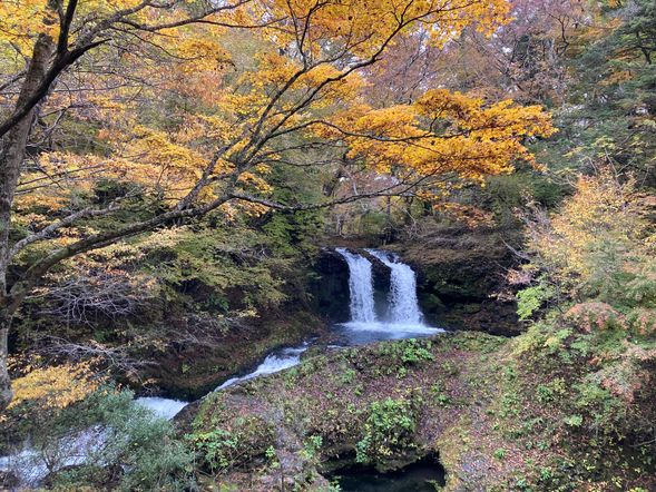 ④マイナスイオン溢れる癒しスポット『鐘山の滝』