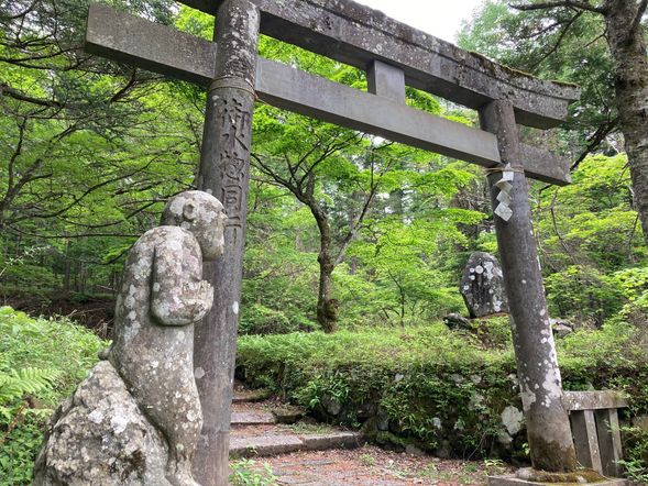 馬返しからショートハイクスタート