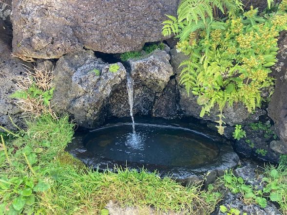 『道の駅なるさわ』では、富士山の湧き水が味わえます