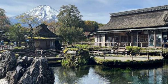 Departing from Fuji Kanko Travel in front of Kawaguchiko Station, you will arrive at Oshino Hakkai in about 20 minutes. You will have approximately 90 minutes to spend there.