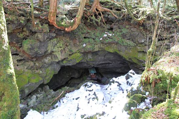 天然記念物の『竜宮洞窟』を見学
*洞内は崩落の恐れがあるため、入り口までの案内となります