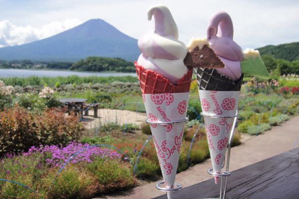 河口湖の景勝地『大石公園』で小休憩・人気のソフトクリームも味わえます(ツアー代金には含まれません)
