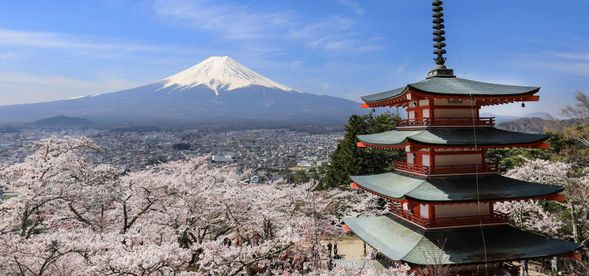 バスは指定の駐車場で下車~徒歩約15分で新倉山浅間公園へ(滞在時間90分~バス降車場所からの移動を含みます)
