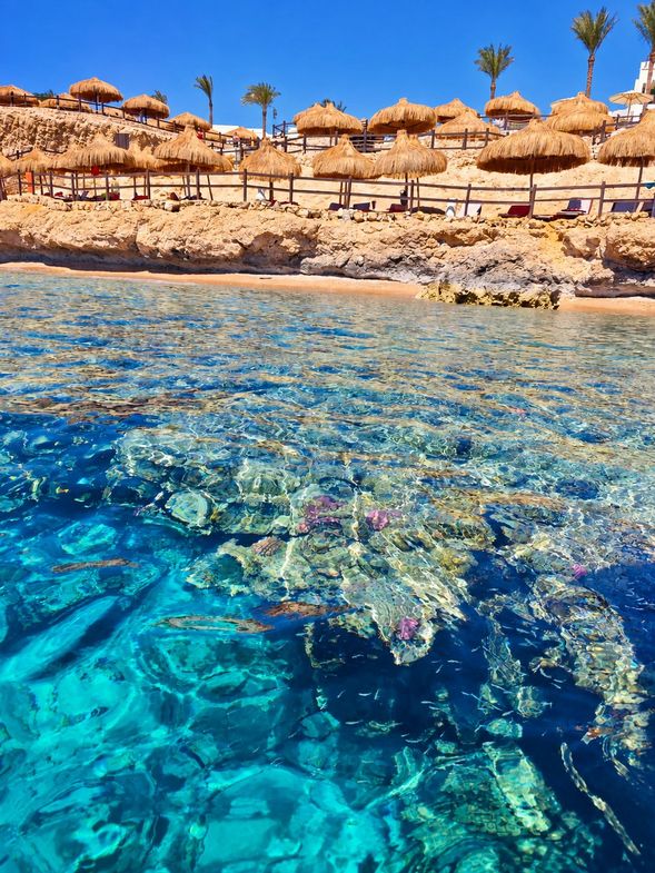 納馬灣 Naama Bay
沙姆沙伊赫具代表性的度假區之一,聚集海濱景觀、餐廳、商店與休閒設施。漫步其中,感受與開羅、路克索截然不同的紅海度假城市氛圍。