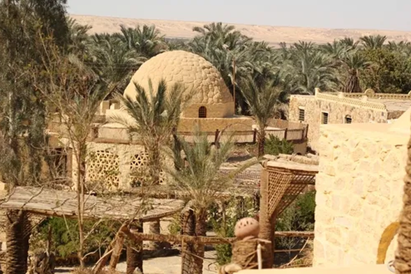 巴哈利亞綠洲
這片古老的綠洲,自法老時代便是尼羅河之外的重要補給站,如今仍以黑白沙漠的超現實景色、水晶山的熠熠光輝,以及史前遺跡與岩畫,共同訴說著這片土地的傳奇天然溫泉、椰棗林與豐富的地質奇觀,吸引著無數旅人。