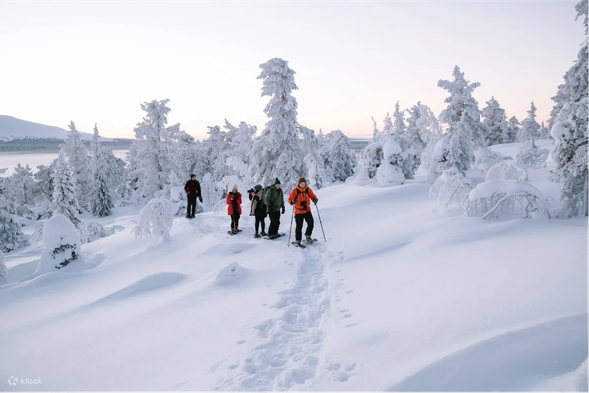 雪鞋徒步 Snowshoe Hiking
本日依季節及實際營運條件二選一安排:
**紫水晶礦體驗|**前往拉普蘭紫水晶礦區,冬季可依實際安排搭乘雪地交通工具深入雪山,認識當地地質與紫水晶形成環境,並安排相關採礦體驗。
**雪鞋徒步|**於適合的雪季穿上雪鞋,由嚮導帶領進入覆滿積雪的北極森林,以步行方式探索拉普蘭冬季自然環境。