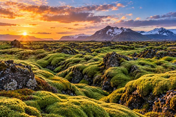 冰島苔蘚地貌 Icelandic Moss Landscape
冰島部分古老熔岩地表覆蓋著大片綠色苔蘚,與黑色火山岩交織出獨特的自然景觀。冬季時,苔蘚地貌可能與白雪相互映襯,展現冰島火山島嶼的原始魅力。