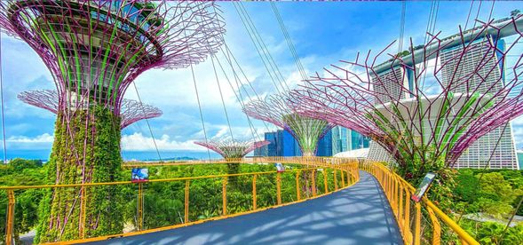 Garden By the Bay I Step into a world where cutting-edge design and lush greenery come together in perfect harmony. Located in the heart of Singapore’s Marina Bay, Gardens by the Bay is a breathtaking 101-hectare nature park that showcases the city’s vision of a sustainable, green future. Take a moment to relax and snap some great photos with the iconic Supertree Grove in the background.