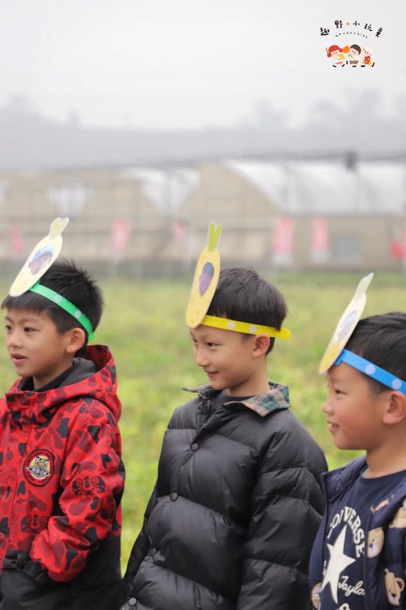 小兔子蘿蔔遊戲