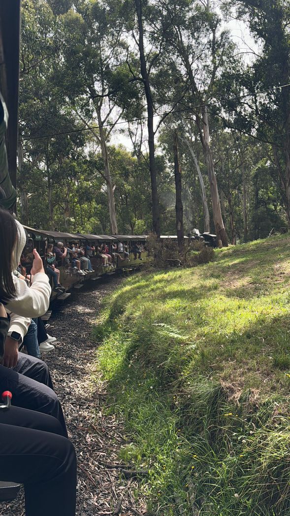 🚂 The highlight of the day — a ride on the iconic Puffing Billy Steam Train!
Originally built to serve local communities by transporting goods and passengers, this historic railway has now become one of Victoria’s most beloved tourist attractions.