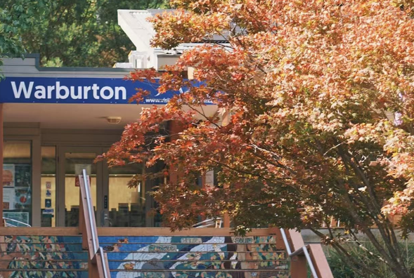 Warburton 小鎮・午餐及自由活動