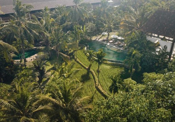Alaya Resort Ubud