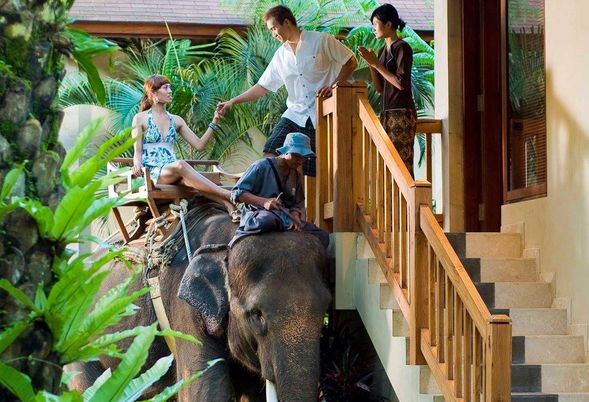 Mason Elephant Lodge Ubud