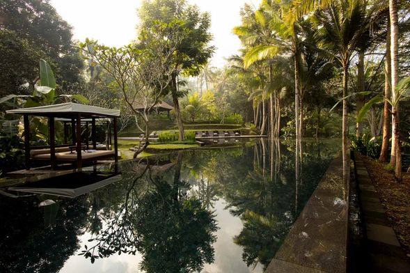 金巴蘭肉桂Kayumanis